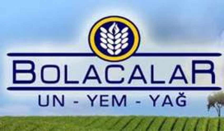 Bolacalar